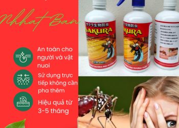 Chai xịt muỗi, thuốc diệt muỗi nhật bản Sakura